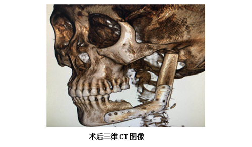 口腔2.png